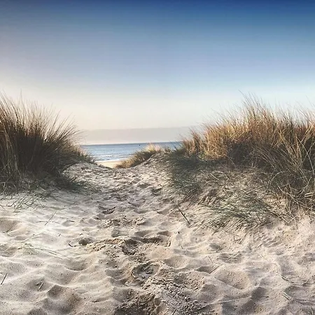 Kampland-29-g-m-kube Dahme (Schleswig-Holstein)